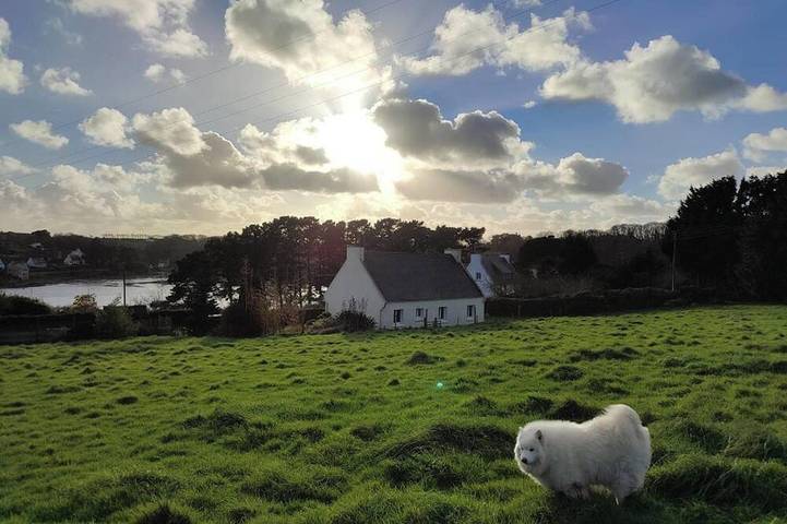 Maison de vacances pour 9 personnes, avec jardin à Plouguerneau