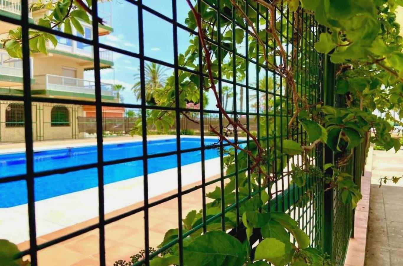 Geheel appartement, Terrasol San Gerardo 2-1-3 Frontal Al Mar in Playa de Torre del Mar, Torre del Mar