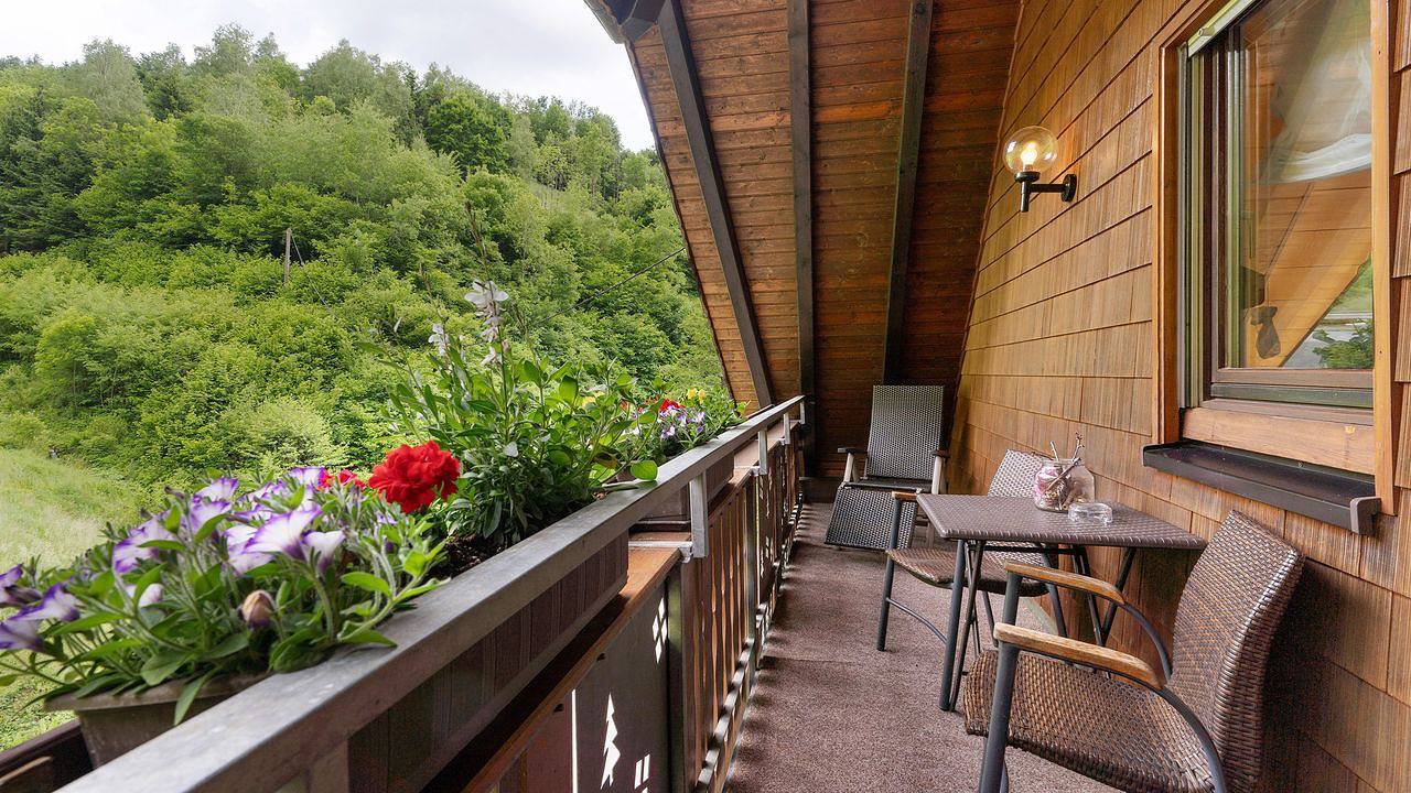 Ganze Ferienwohnung, Ferienwohnung für 4 Personen (50 m²) in Bad Peterstal-Griesbach in Bad Peterstal-Griesbach, Mittlerer Schwarzwald