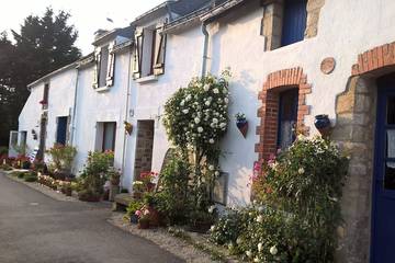 Gîte pour 4 personnes, avec jardin et jacuzzi, animaux acceptés dans Suscinio