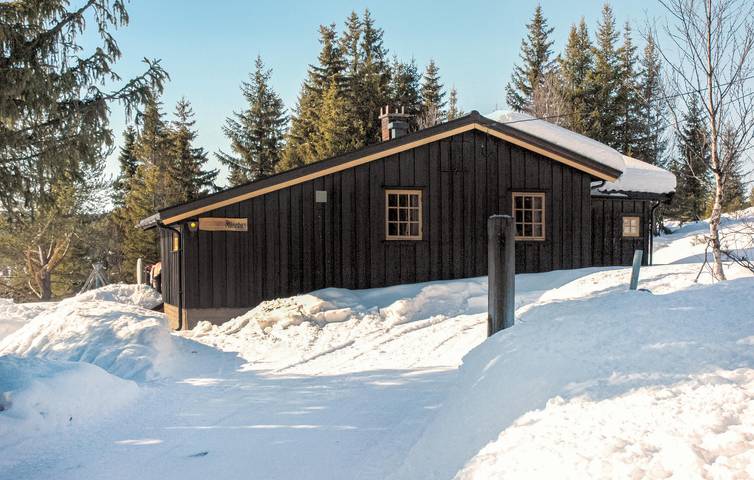 Ferienhaus für 7 Personen mit Terrasse in Nesbyen