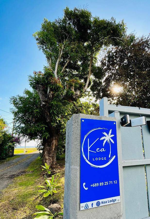 Location de vacances pour 8 personnes, avec vue et jardin dans Papara - 3