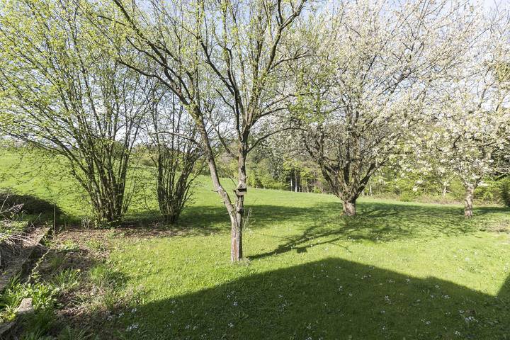 Ganze Ferienwohnung, Appartement/Fewo, Dusche und Bad, Wc, Wohn-/Schlaf in Hausen (Wied), Mittelrhein