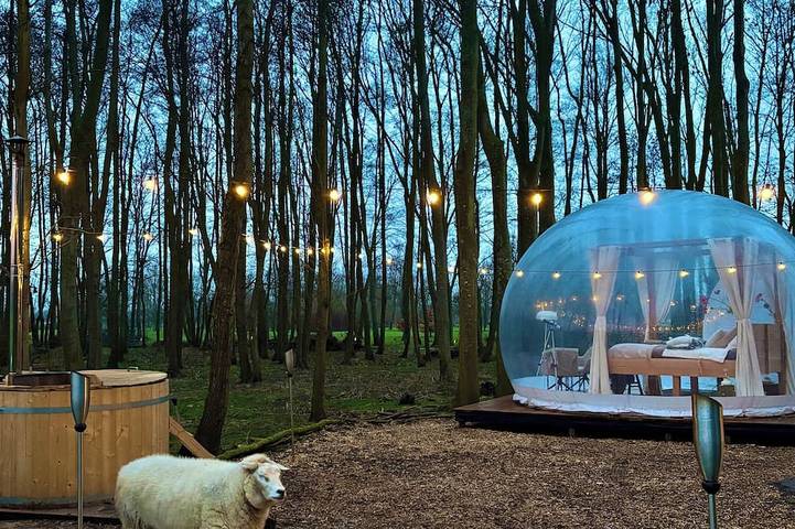 Lodge pour 2 personnes, avec jardin et jacuzzi - 1