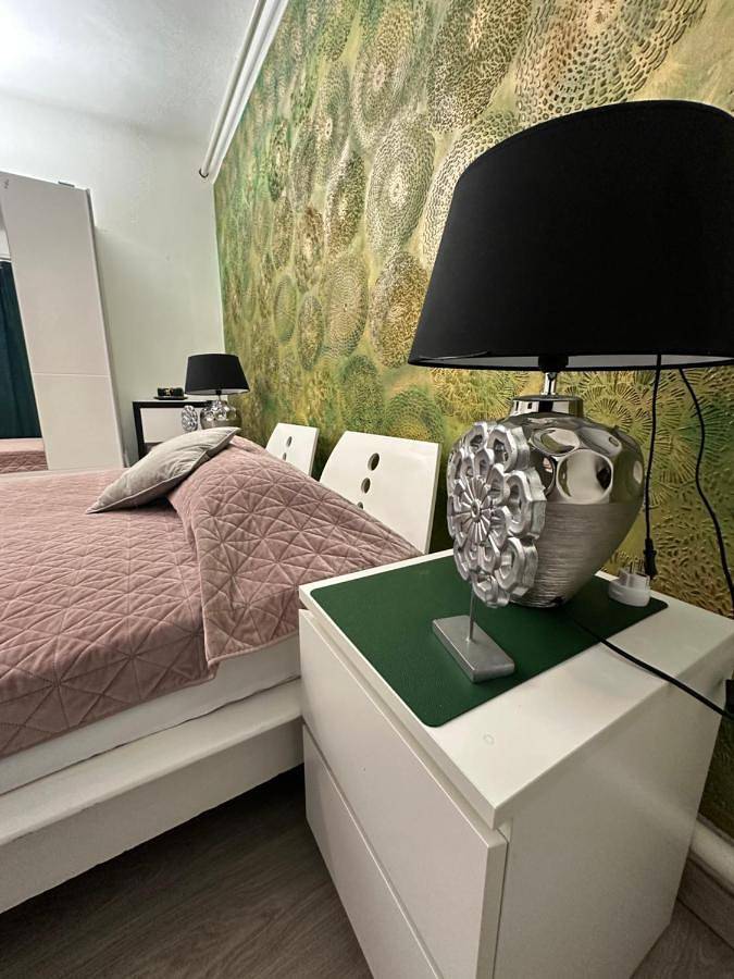 Chambre d’hôte pour 2 personnes, avec vue et jardin à Vecsés - 3