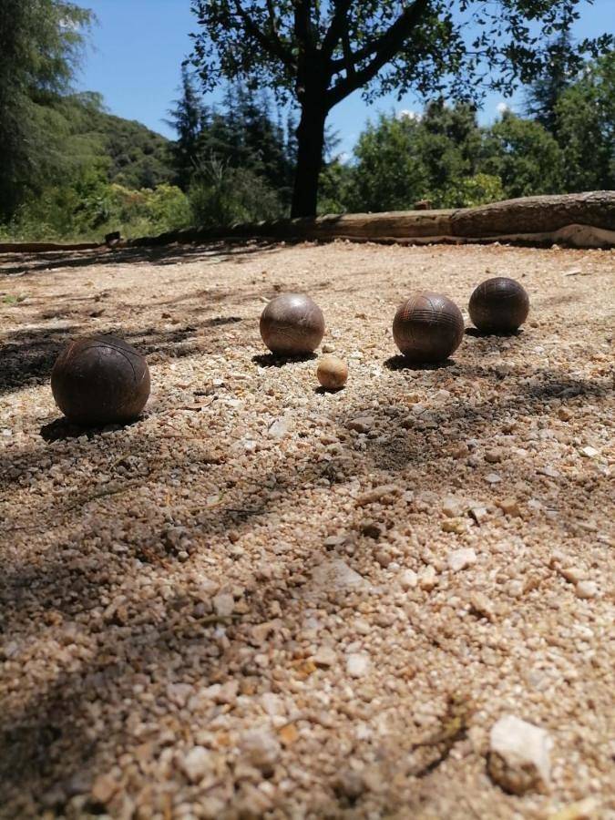 Pura Vida in Val-d'Aigoual, Parc national des Cévennes