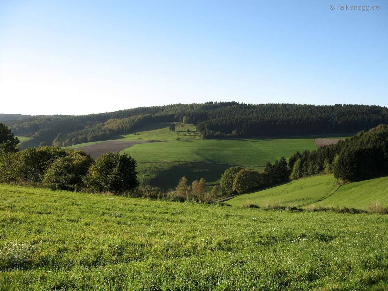 Feriendorf Falkenegg - Ferienhaus Falkenegg, 200qm, 4 Schlafzimmer, max. 12 Personen in Lennestadt, Sauerland