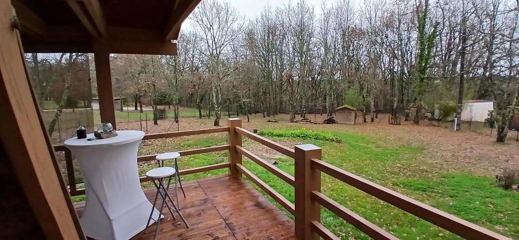 Gîte pour 4 personnes, avec vue et jardin à Puycornet - 3