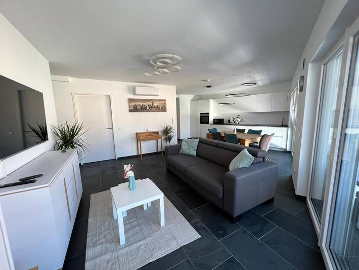 Gîte pour 6 personnes, avec Balcon ainsi que Terrasse et Vue à Mayence - 4