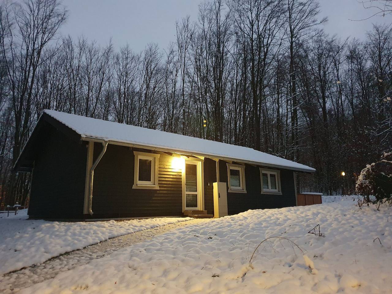 Waldquartier No 12  Twistesee - Ferienhaus in Bad Arolsen, Twistesee