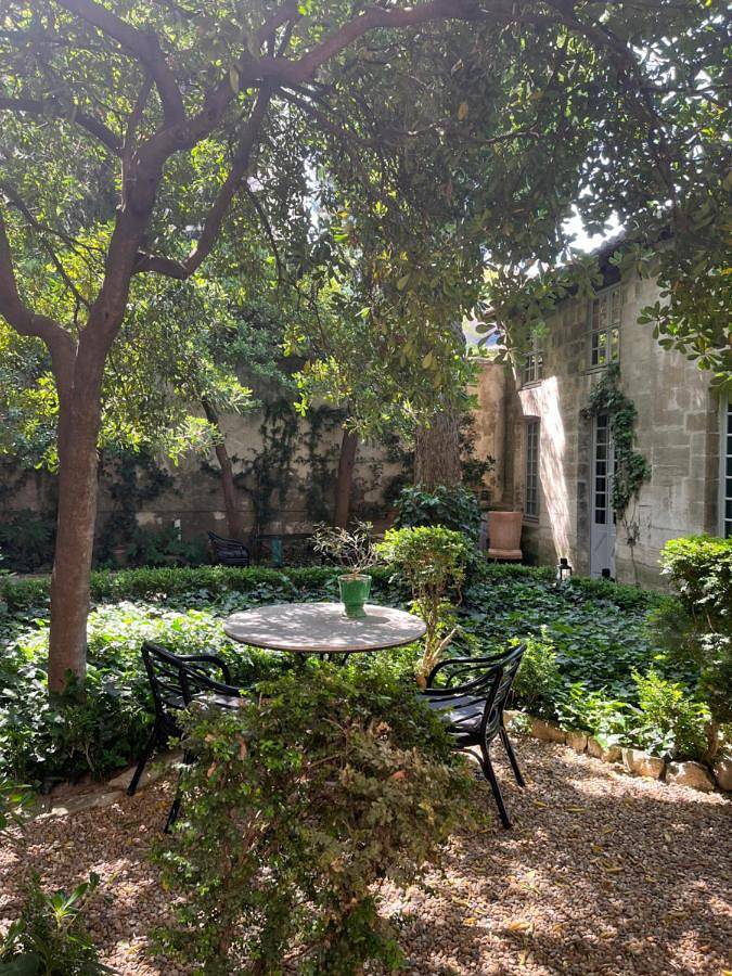 Location de vacances pour 2 personnes, avec jardin et terrasse dans Palais des Papes - 2