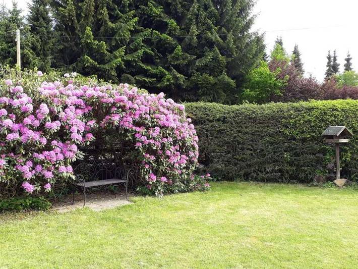 Ferienhaus für 2 Personen, mit Garten im Westerwald - 4