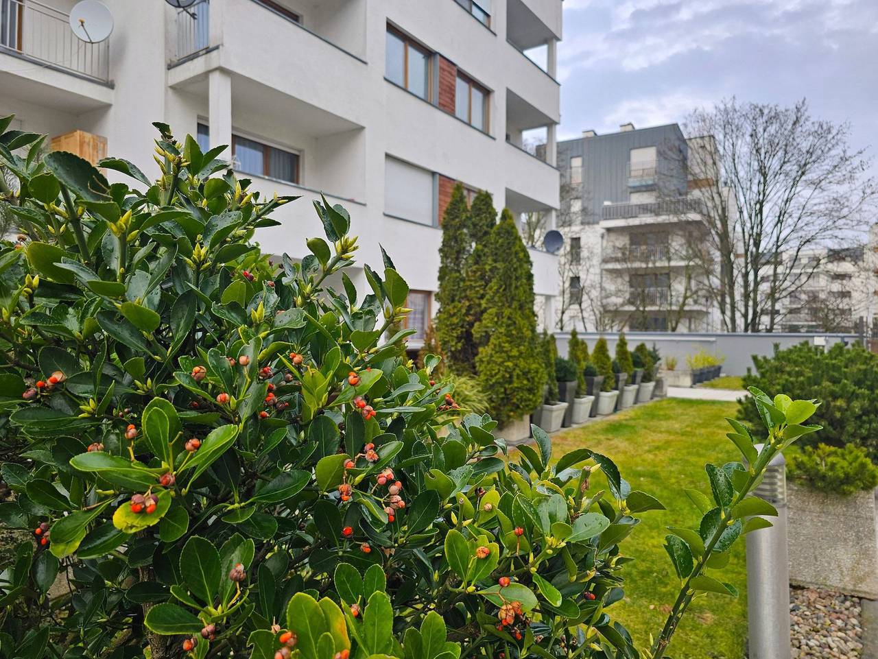 Ganze Ferienwohnung, Platan ( Family) - Platan ( Family) in Swinemünde, Stettiner Haff