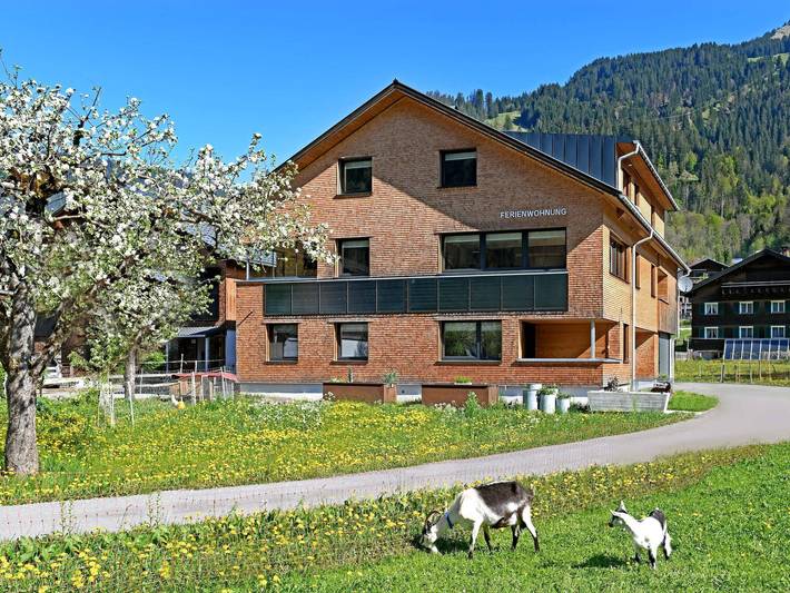 Ferienhaus für 9 Personen, mit Balkon und Ausblick in Schoppernau