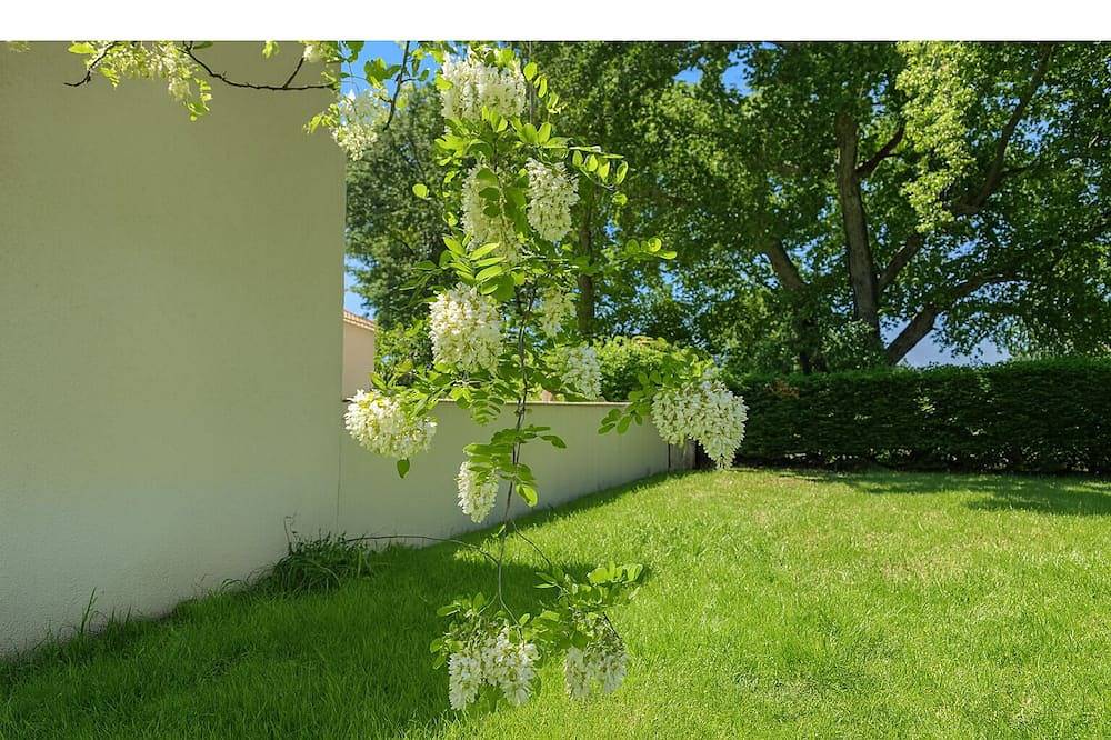 Gite de Mina, we welcome you and your pet. in Camaret-sur-Aigues, Vaucluse