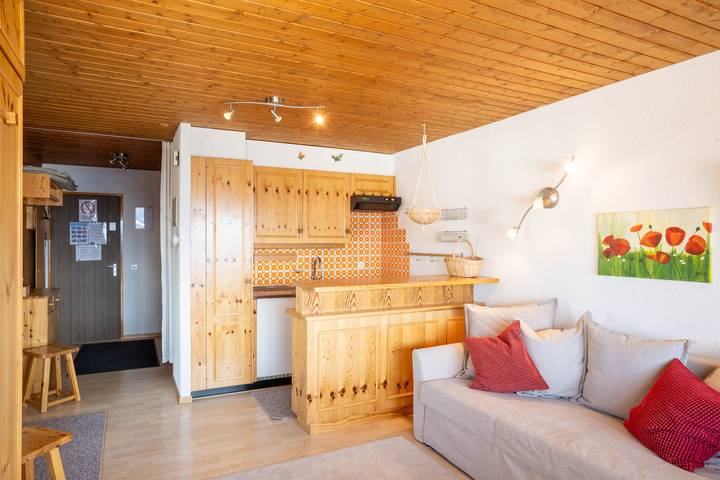 Ganze Wohnung, Essert 402 - Wohnung 1.0 Zimmer in Thyon-Les Collons, Vex