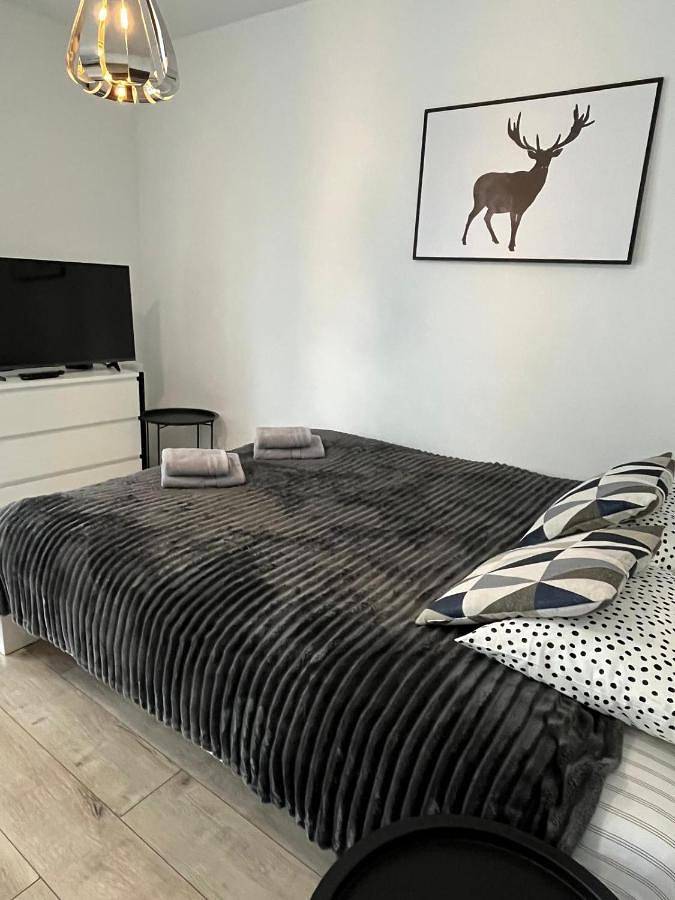 Cały apartament, Apartment in Rybnik, Śląsk