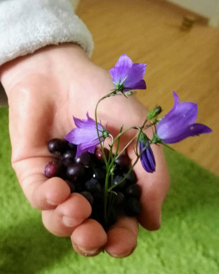 Ferienwohnung für 2 Personen, mit Garten - 1