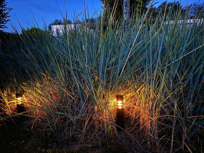 Chalet für 4 Personen, mit Garten, mit Haustier in Zeeland - 3
