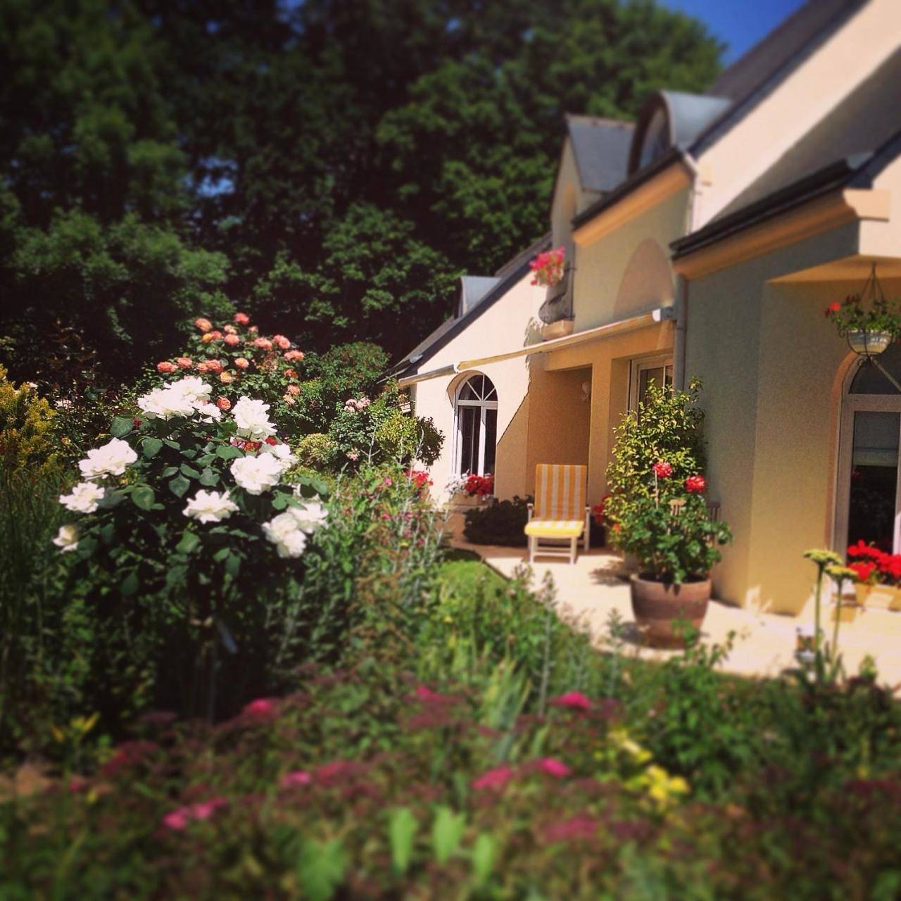 Suite with Terrace in Lamballe, Cotes-d'Armor