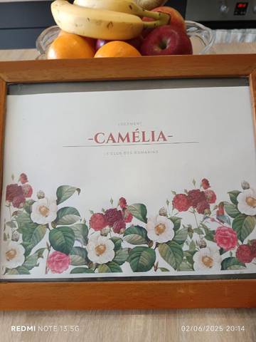 Location de vacances pour 6 personnes, avec terrasse ainsi que vue et piscine à Belmontet