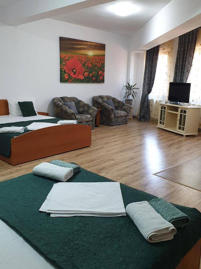 Maison d’hôte pour 2 personnes, avec jardin et vue, adapté aux familles dans Constanța - 4