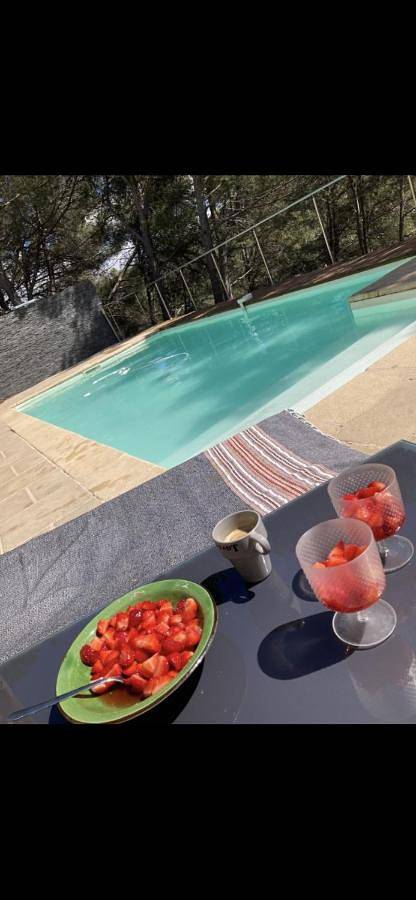 Location de vacances pour 12 personnes, avec vue ainsi que piscine et jardin à Roquefort-la-Bédoule - 3
