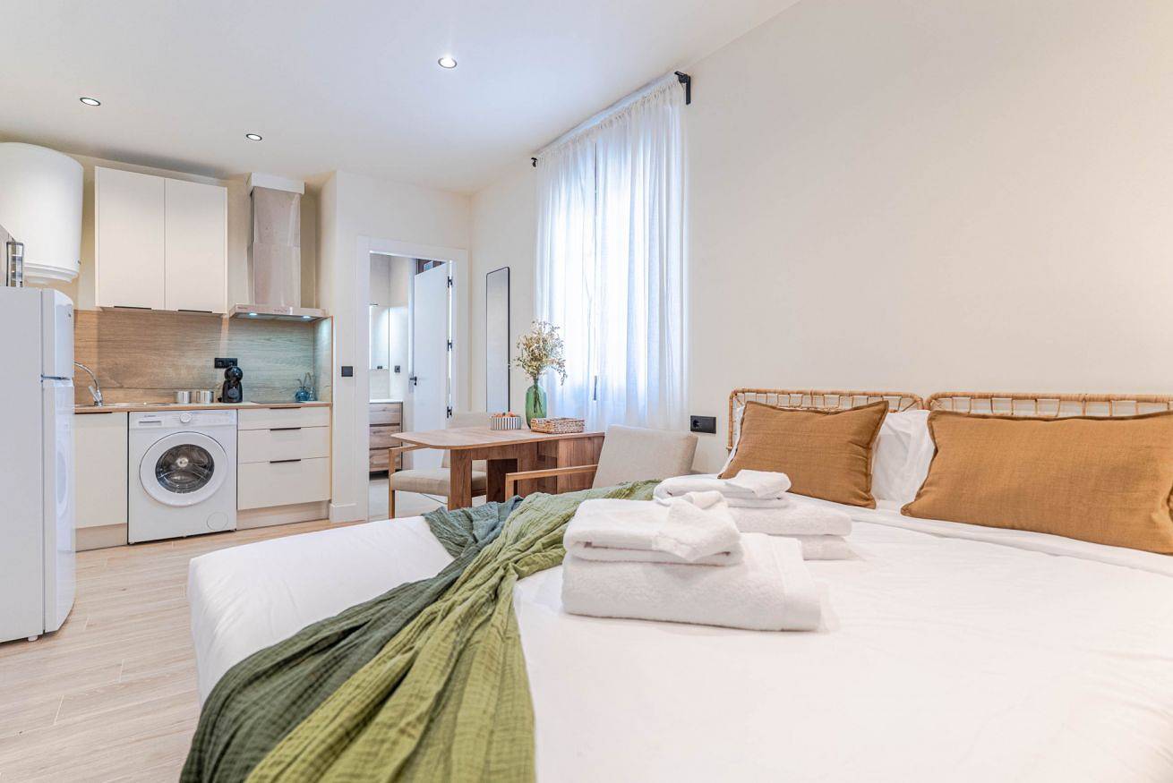 Plaza Larga Suite Modern Studio in the City Center, foto 8