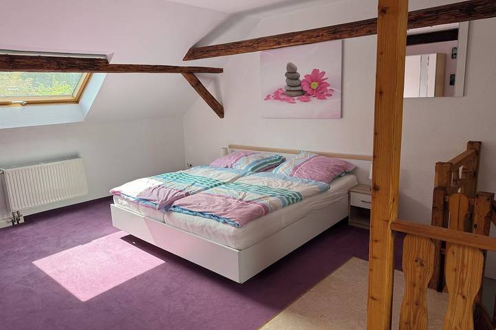 Gîte pour 4 personnes, avec terrasse, animaux acceptés à Gera - 2