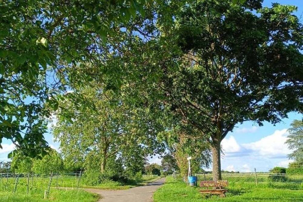 Ganze Wohnung, Gemütliche Dg Wohnung in Kostheim in Mainz-Kostheim, Wiesbaden