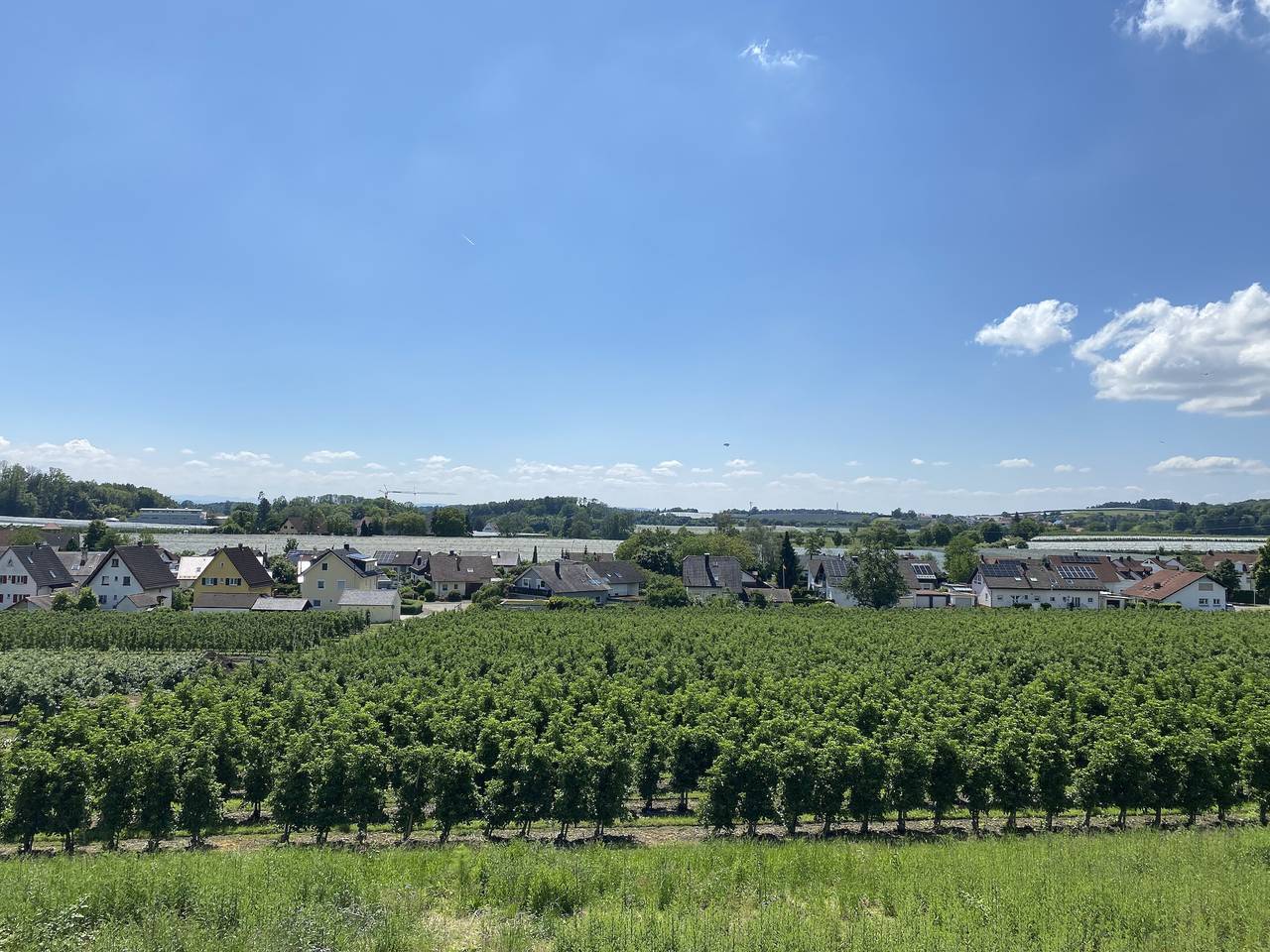 Ganze Ferienwohnung, Haus Apfelwiese - Apfelwiesen Ii, 35 qm, mit Schlafsofa und Etagenbett, max. 3 Personen in Friedrichshafen, Region Bodensee-Oberschwaben