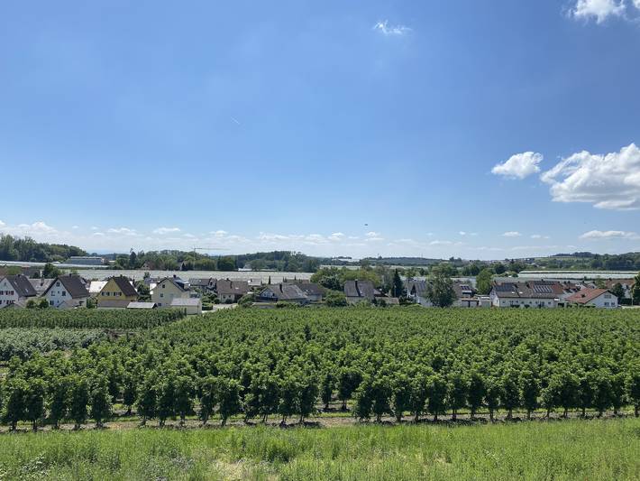 Ganze Ferienwohnung, Haus Apfelwiese - Apfelwiesen Iii, 90 qm, 2 Schlafzimmer, max. 3 Personen in Friedrichshafen, Region Bodensee-Oberschwaben