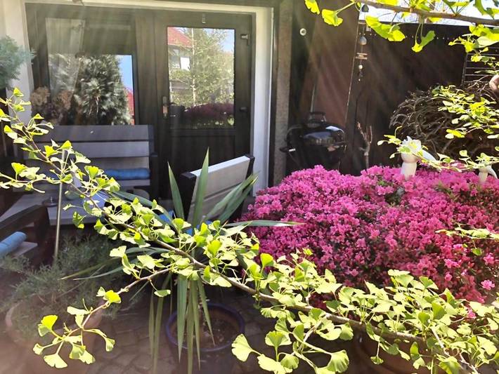Ferienhaus für 2 Personen, mit Garten in Fürstenwalde - 4