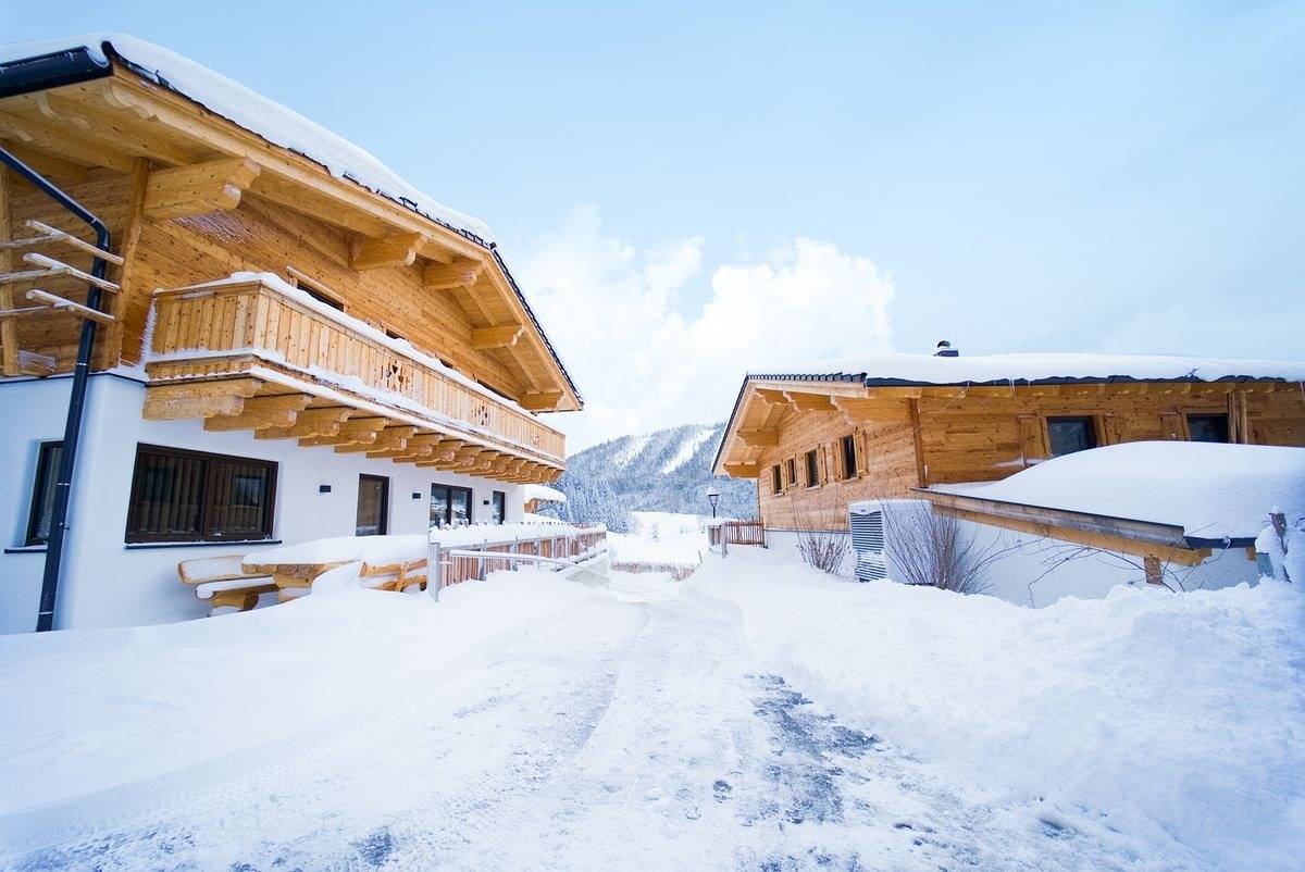 Aaf - Comfort Chalet Bergzeit (1) in Forstau, Ski Amadé