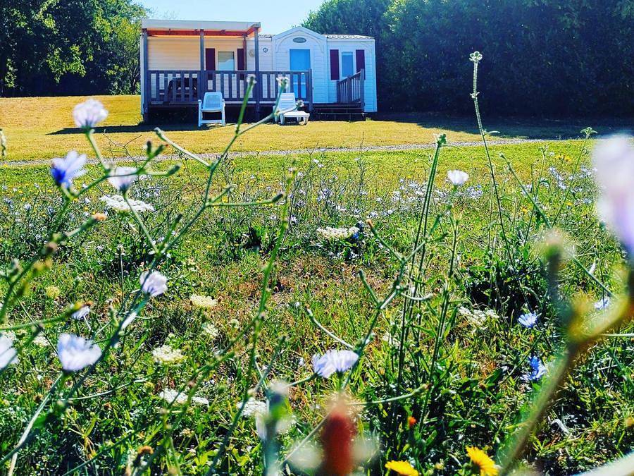 Camping Le Valenty - Mobilheim 6 personen - Panorama Dordogne in Soturac, Lot