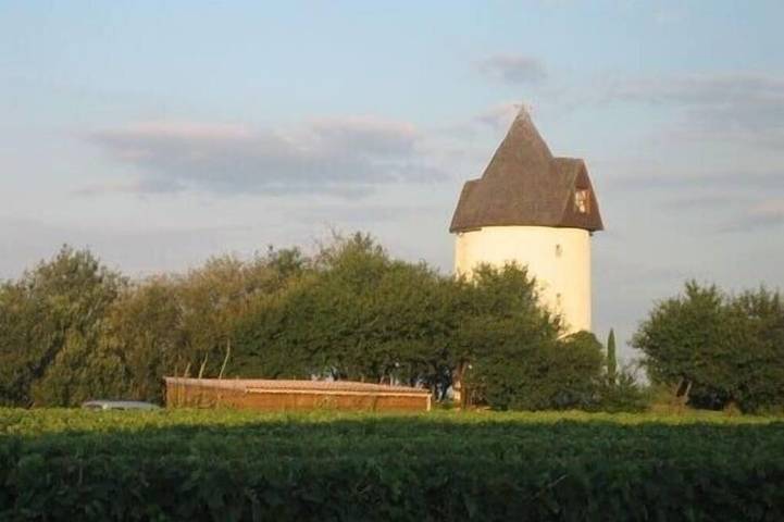 Gîte pour 3 personnes, avec Jardin à Saint-Fort-sur-Gironde