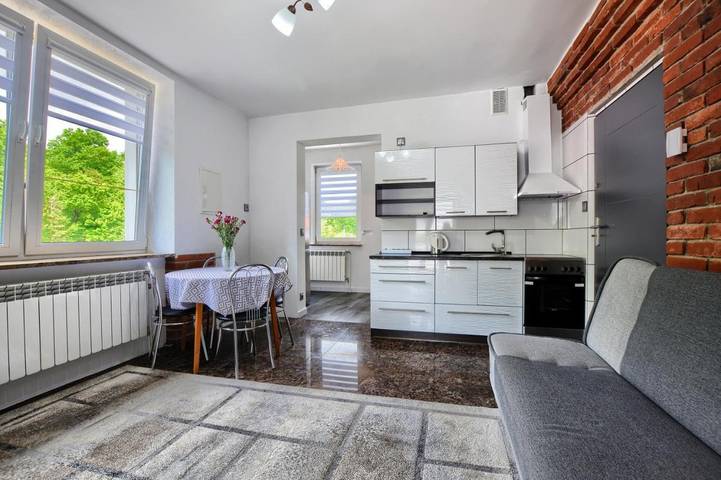 Apartament wakacyjny dla 4 osób, z Balkon i Taras oraz Ogród i Widok w Ustrzyki Dolne