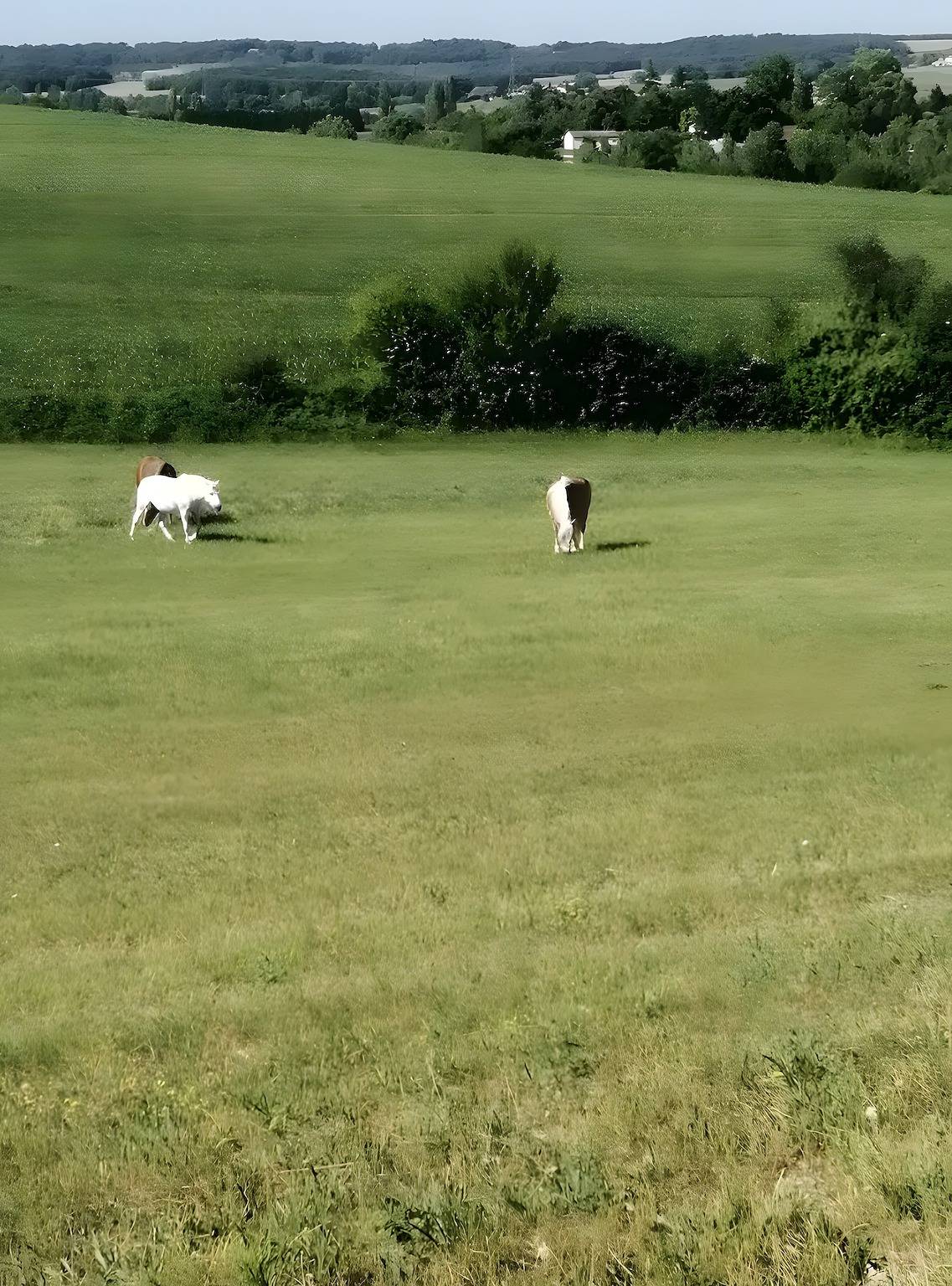 Studio entier, Gîte « Gite À La Ferme - Pardaillan » avec jardin privé et Wi-Fi in Pardaillan, Région de Marmande
