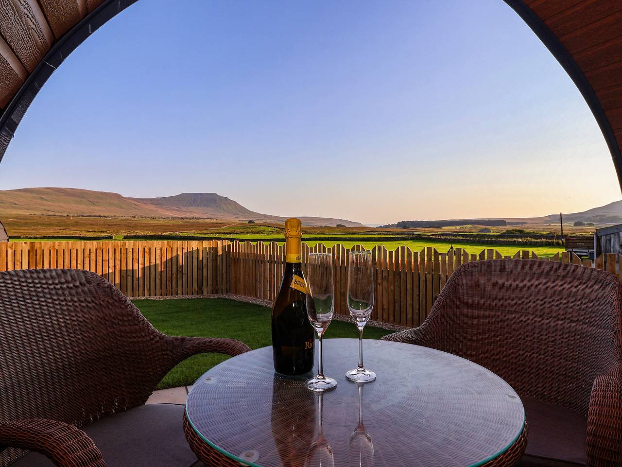 Barn Owl in Yorkshire Dales National Park