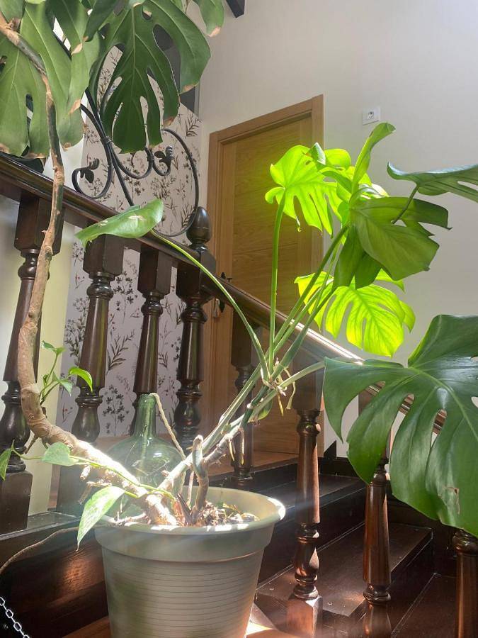 Apartamento entero, Alojamiento Rural Monterey in La Revilla, San Vicente de la Barquera