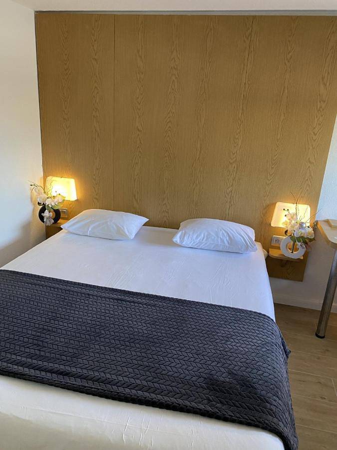Hôtel pour 2 personnes, avec piscine ainsi que vue et jardin, animaux acceptés dans Territoire de Belfort - 3
