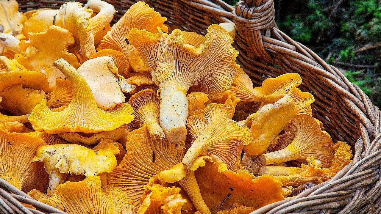 Hus för 6 Personer in Mellbystrand, Halland