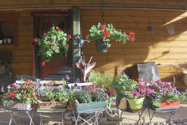 Gîte pour 3 personnes, avec jardin, animaux acceptés à Les Planches-en-Montagne - 4