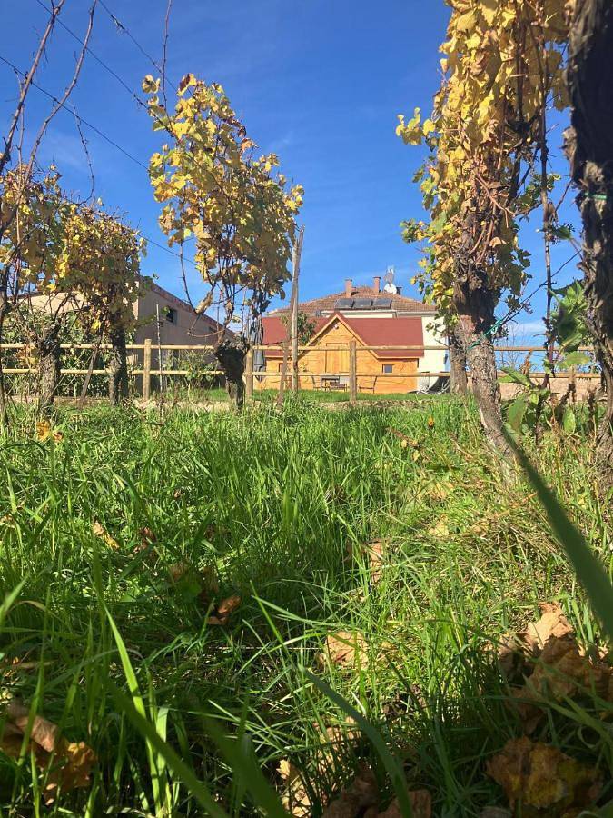 Location de vacances pour 4 personnes, avec jardin et vue à Gertwiller - 2