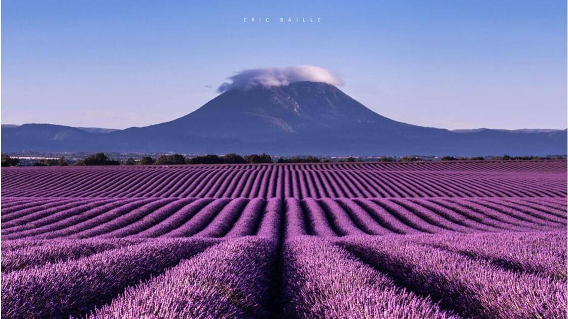 Le Nid d'Estoublon in Estoublon, Alpes-de-Haute-Provence