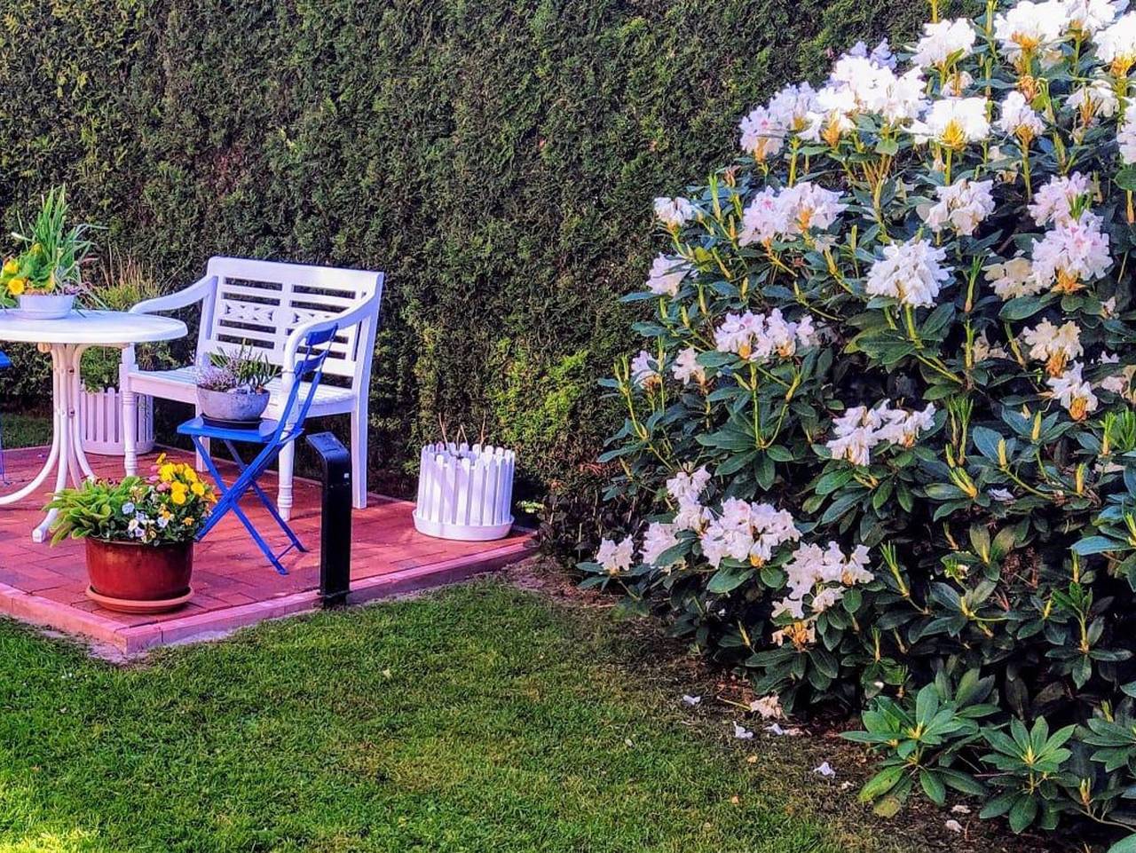 Ganze Ferienwohnung, Kreuzer Huus in Dornum, Nordseeküste