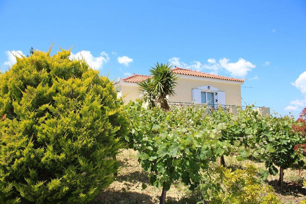 Beautiful holiday house in the country with terrace | Messenia, Peloponnese in Messenia region