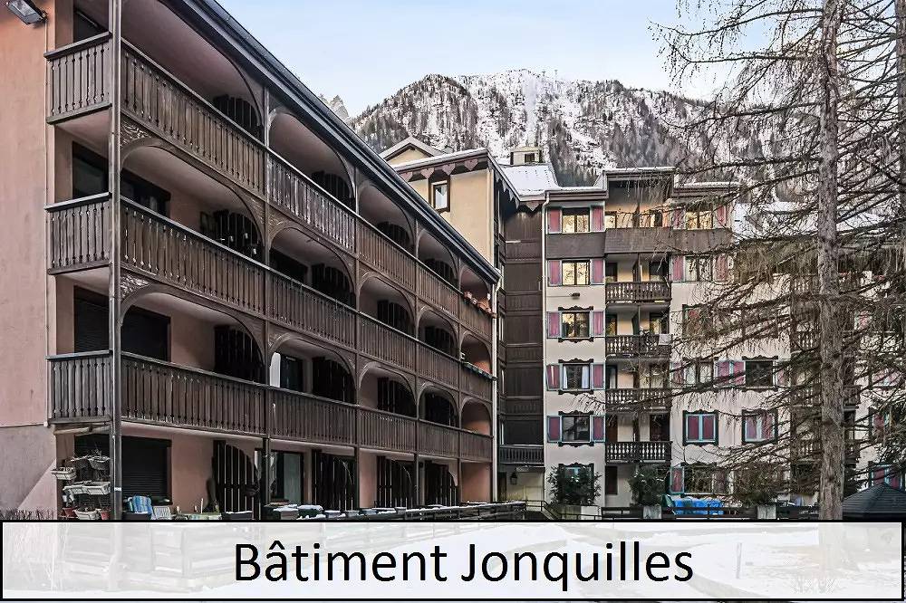 Ganze Wohnung, 2-Zimmer-Wohnung für 5 Personen Komfort in Brevent-Flegere, Chamonix