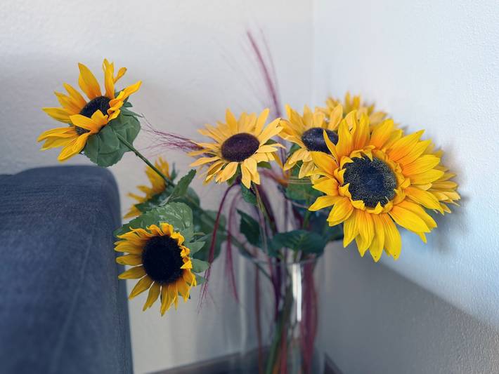Ferienwohnung für 4 Personen, mit Balkon und Garten sowie Ausblick in Seeg - 2