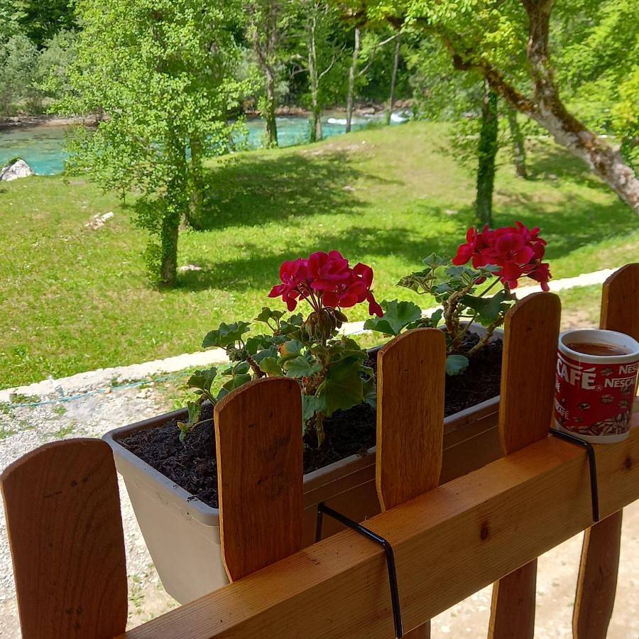 Tara Rafting kamp Hedera in Republika Serbska